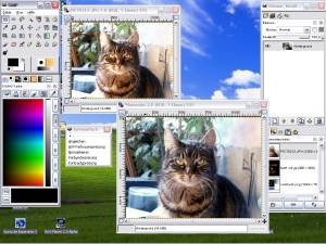 Pantallazo del funcionamiento de GIMP